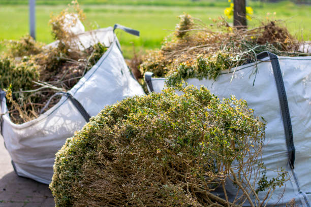 Best Local Junk Hauling  in Picayune, MS